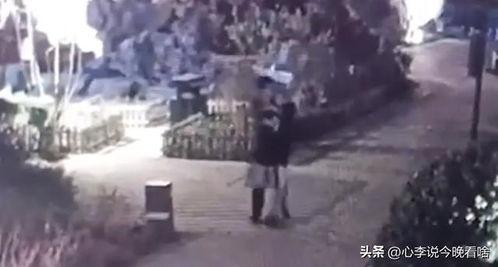 乌镇吃瓜事件视频