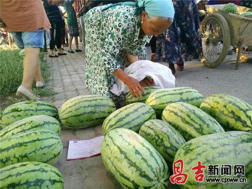 庄河吃瓜事件70万