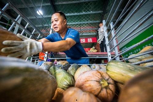 庄河吃瓜事件70万