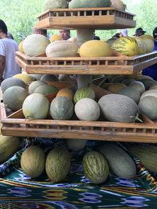 吃瓜事件新疆,揭秘背后的真相与反思