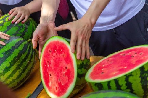 集美大学吃瓜事件是什么