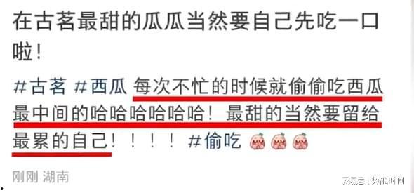 古茗吃瓜事件聊天记录,网络舆论发酵背后的真相与反思