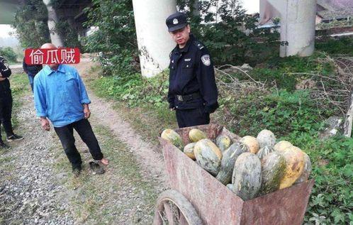 海南吃瓜事件老太太,老太太引发的热议与反思