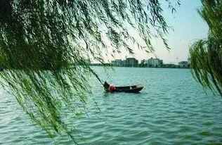 睢县北湖吃瓜事件真相,真相与反思