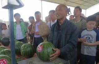 信阳吃瓜群众事件真相视频