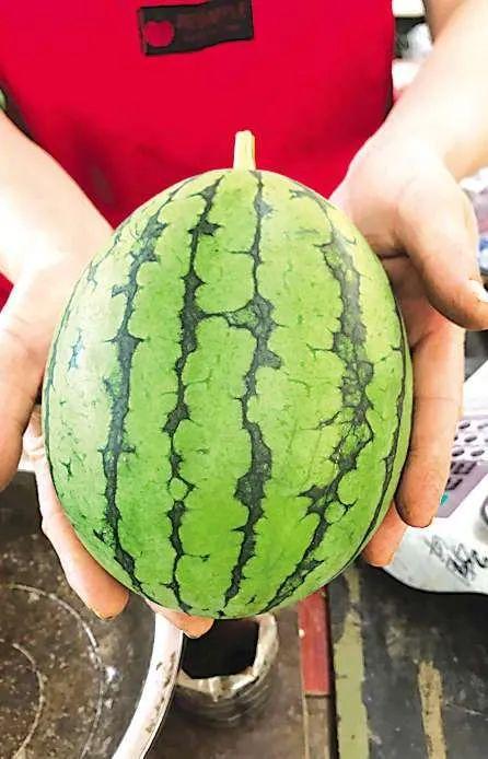 山西长治吃瓜事件