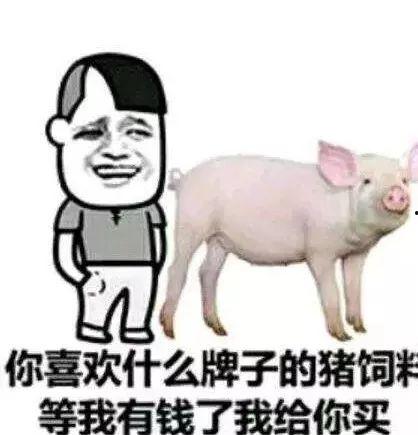 韩国博主看猪吃瓜事件