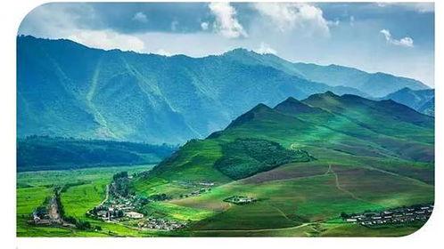 泊头吃瓜大事件最新消息