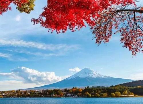 富士山吃瓜事件