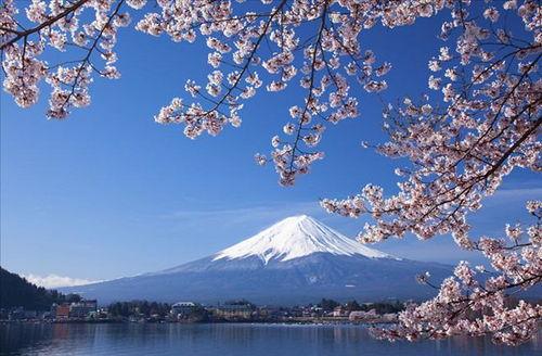 富士山吃瓜事件