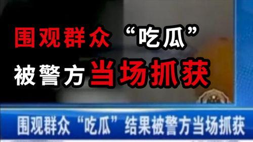 大型吃瓜新闻事件真相,一场舆论风暴的始末