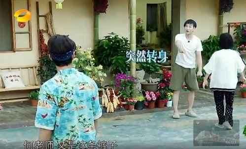 井陉吃瓜群众事件真相,真相与反思