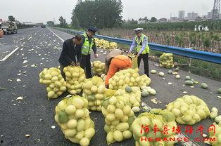 许昌吃瓜新闻事件