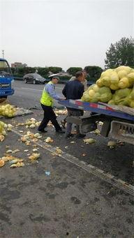 许昌吃瓜新闻事件