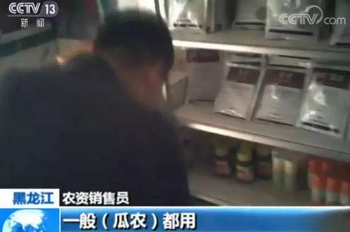 荆门最新吃瓜事件视频曝光,视频曝光揭示惊人真相