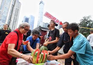 北京朝阳观众吃瓜事件,一场意外的网络狂欢