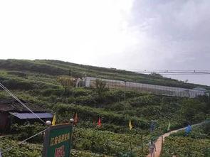 萍乡赤山镇吃瓜事件始末