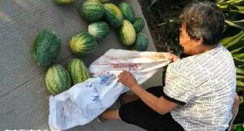 近期热门云南吃瓜事件,揭秘背后真相与网络舆论风暴