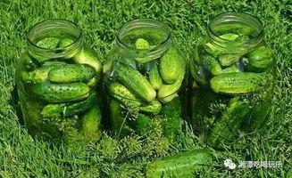 湘潭野外吃瓜事件