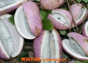 恩施吃瓜事件真相视频