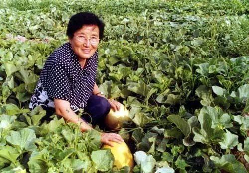 西南公园吃瓜事件真相,揭秘背后真相与反思