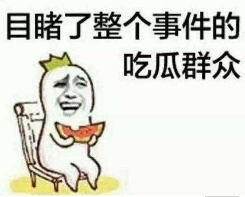 吃瓜群众引发事件案例视频,一场网络舆论的风暴