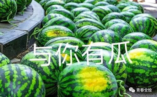 十堰大学吃瓜事件,校园风波背后的真相揭秘